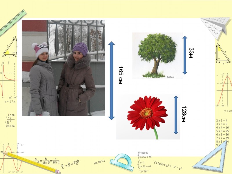 165 см 33м 128см